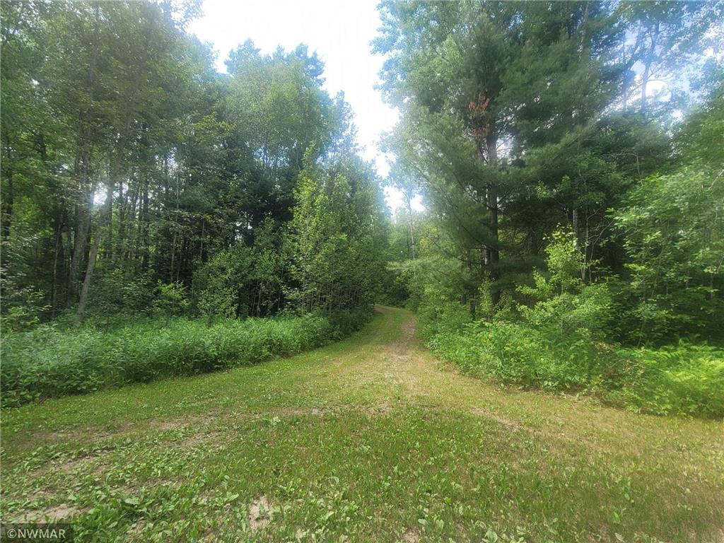 39672 Utopia Bay Lane Round Lake N Twp MN 56589 - Elbow Lake 7050343 image6