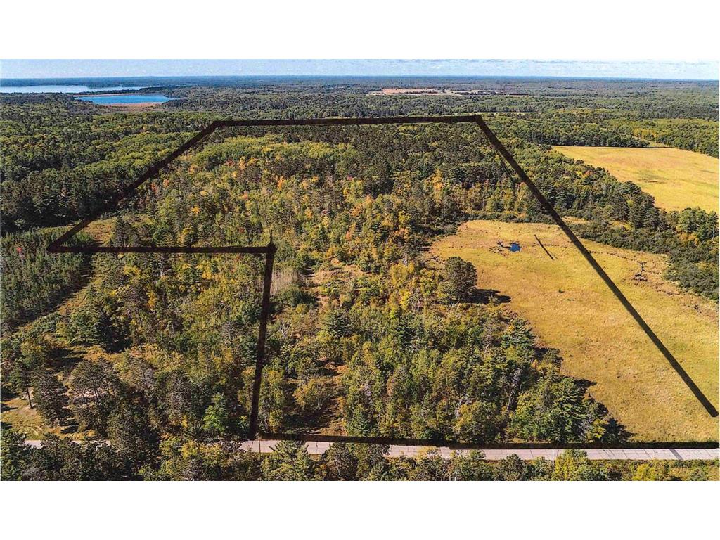 39687 Swanberg Road Timothy Twp MN 56474 6795536 image1