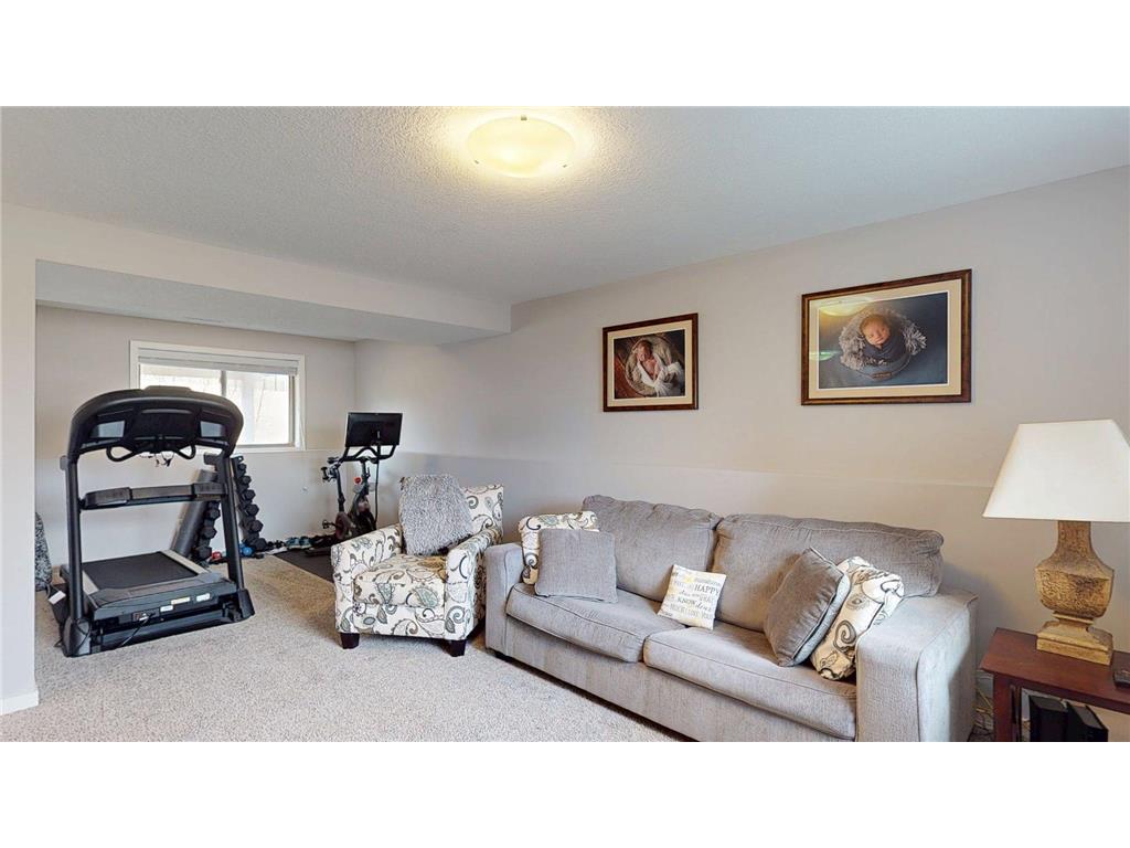 3974 Orchardview Lane NW Rochester MN 55901 7050067 image29