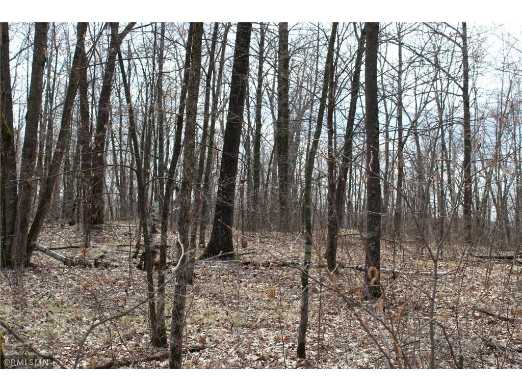 39743 Van Gordon Road Hinckley MN 55037 6719297 image1