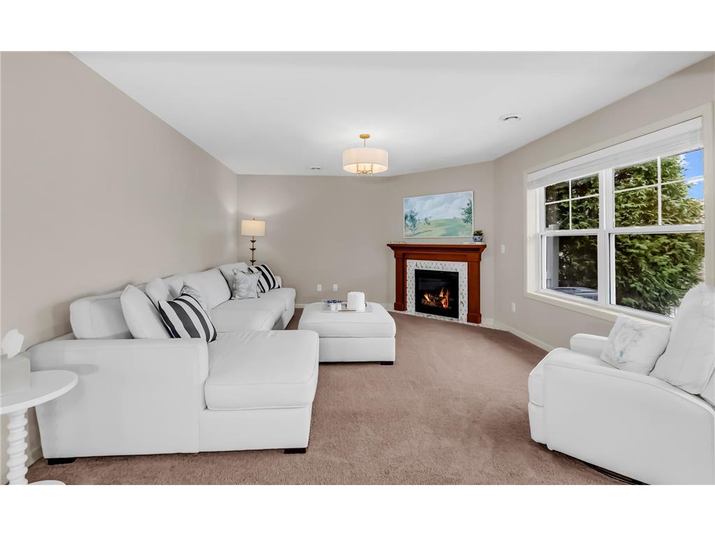 3976 Cedar Grove Lane Eagan MN 55122 7030627 image8