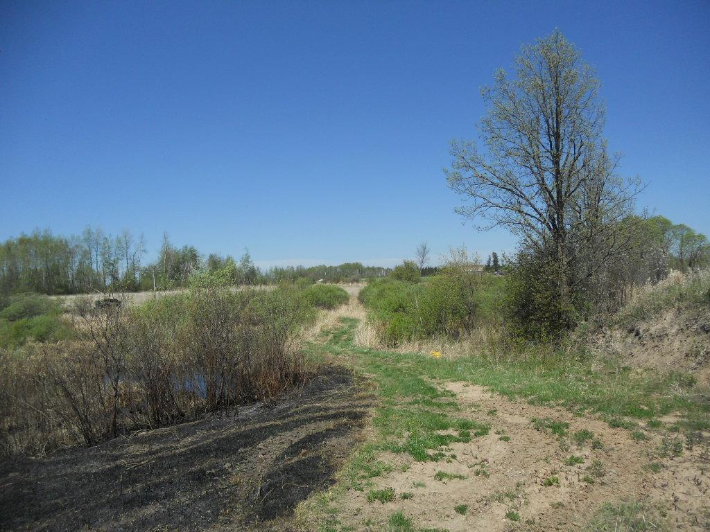 39769 Kestrel Avenue Tamarack MN 55787 6720454 image15