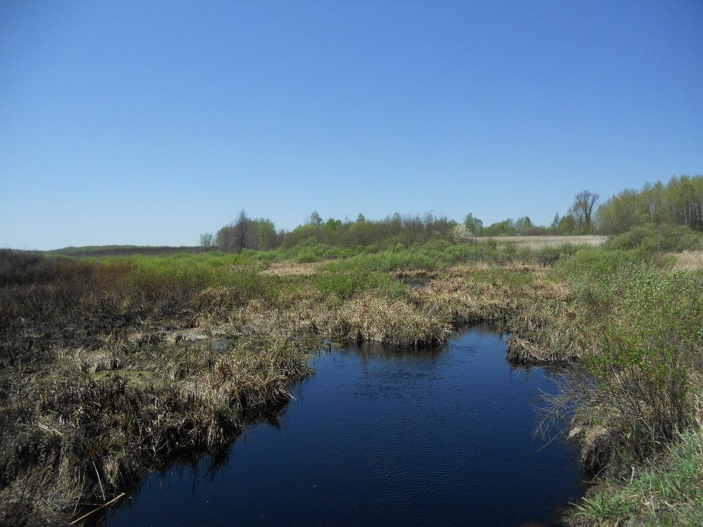 39769 Kestrel Avenue Tamarack MN 55787 6720454 image16