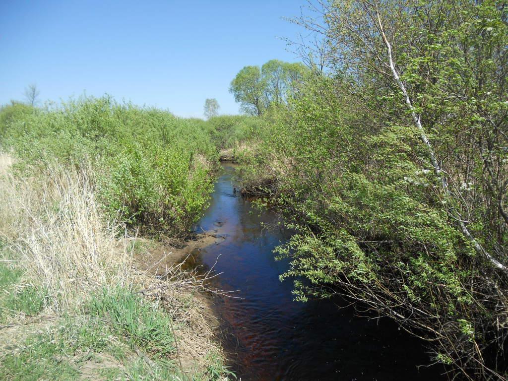 39769 Kestrel Avenue Tamarack MN 55787 6720454 image17