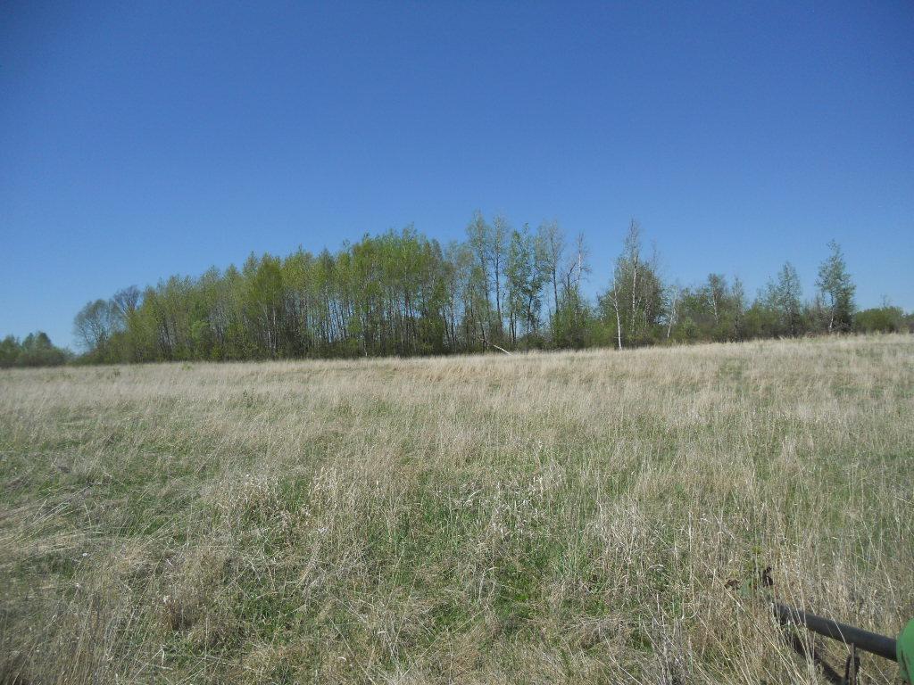 39769 Kestrel Avenue Tamarack MN 55787 6720454 image18