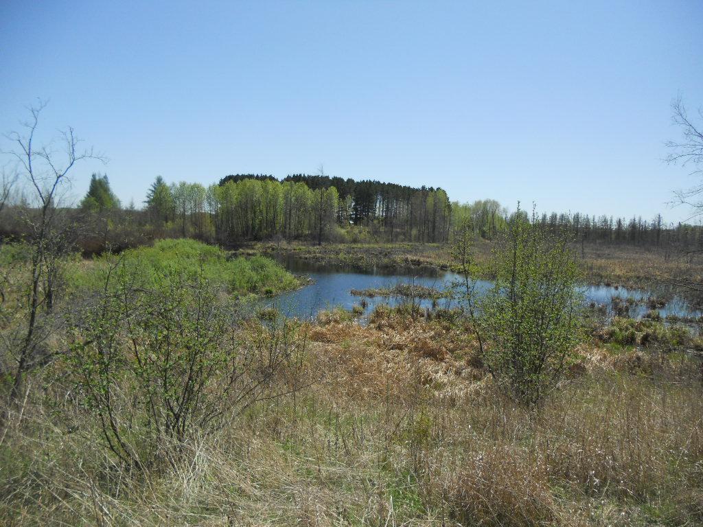 39769 Kestrel Avenue Tamarack MN 55787 6720454 image20