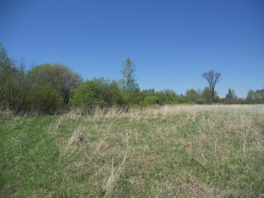 39769 Kestrel Avenue Tamarack MN 55787 6720454 image21