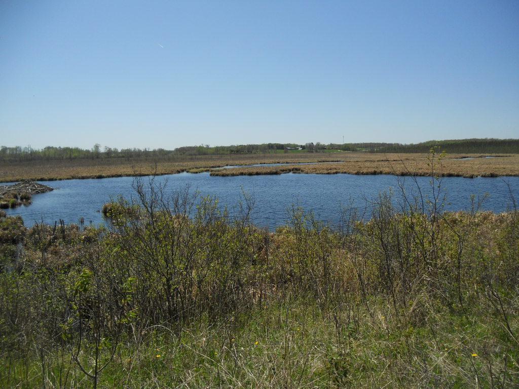 39769 Kestrel Avenue Tamarack MN 55787 6720454 image23