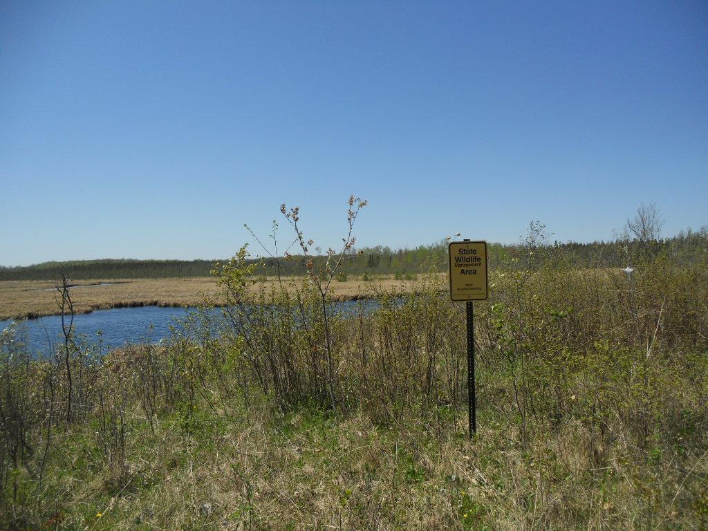 39769 Kestrel Avenue Tamarack MN 55787 6720454 image24