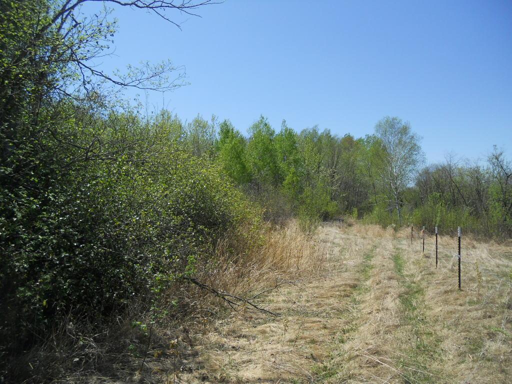 39769 Kestrel Avenue Tamarack MN 55787 6720454 image25