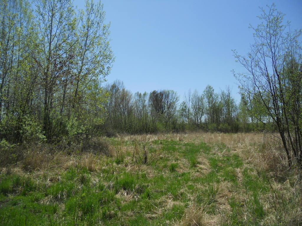 39769 Kestrel Avenue Tamarack MN 55787 6720454 image26