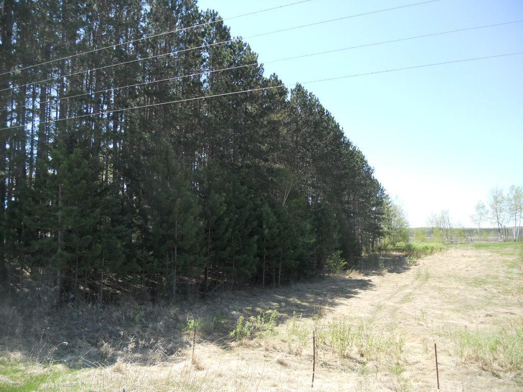 39769 Kestrel Avenue Tamarack MN 55787 6720454 image27