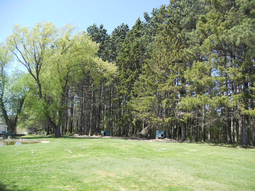 39769 Kestrel Avenue Tamarack MN 55787 6720454 image29