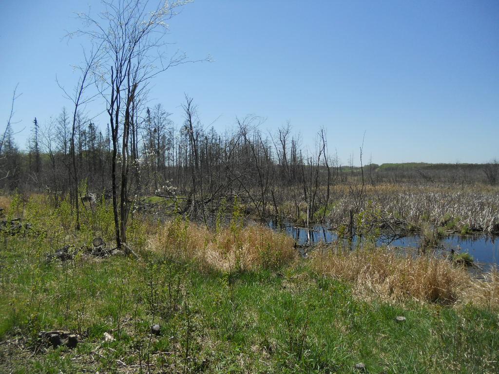 39769 Kestrel Avenue Tamarack MN 55787 6720454 image31