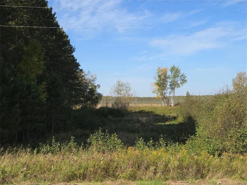 39769 Kestrel Avenue Tamarack MN 55787 6720454 image36