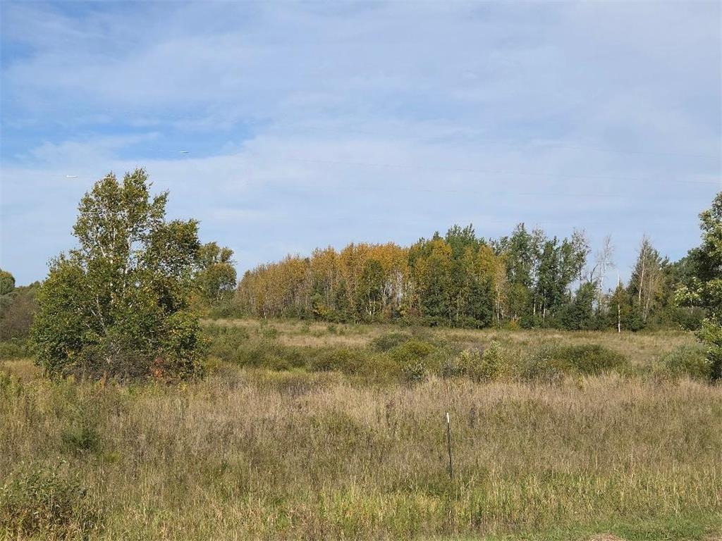 39769 Kestrel Avenue Tamarack MN 55787 6720454 image37