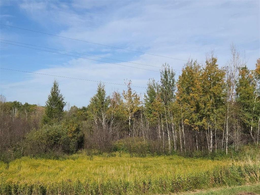 39769 Kestrel Avenue Tamarack MN 55787 6720454 image39