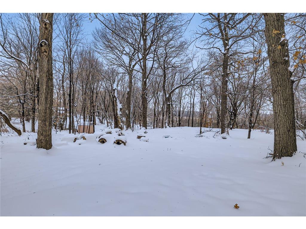 3977 Clover Avenue Vadnais Heights MN 55127 6823076 image27