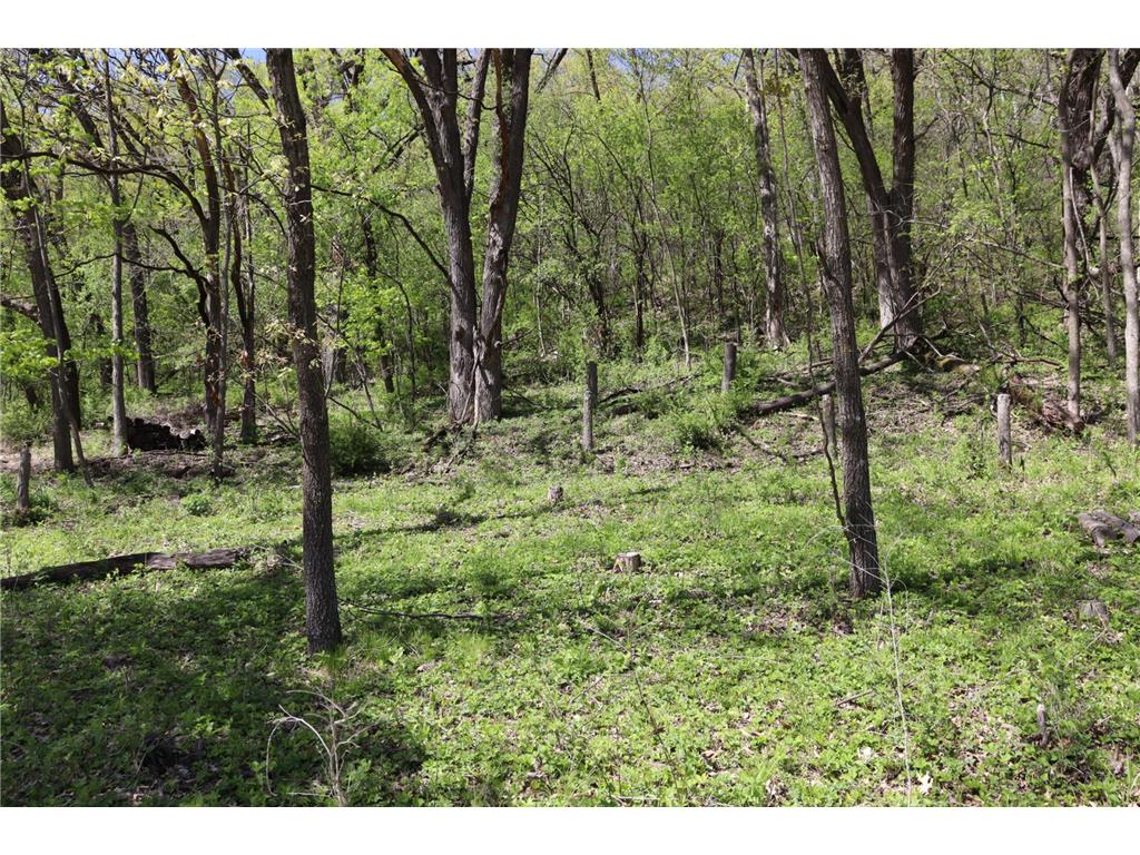 398 Pleasant Hill Drive Winona MN 55987 7065599 image4