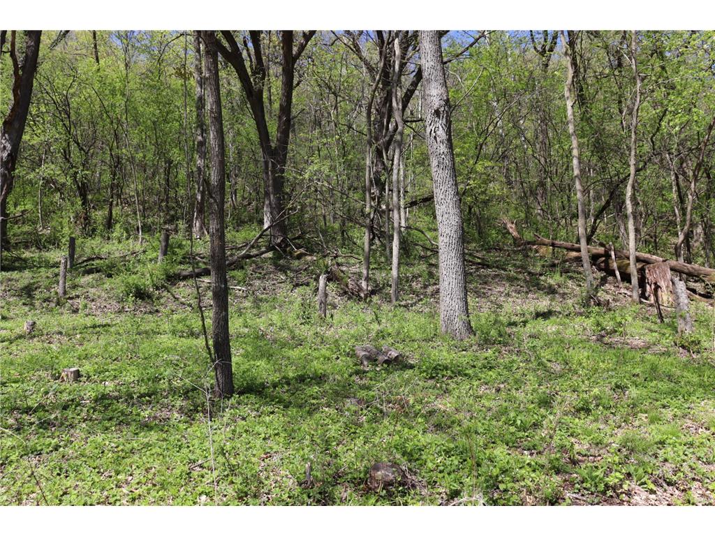 398 Pleasant Hill Drive Winona MN 55987 7065599 image5