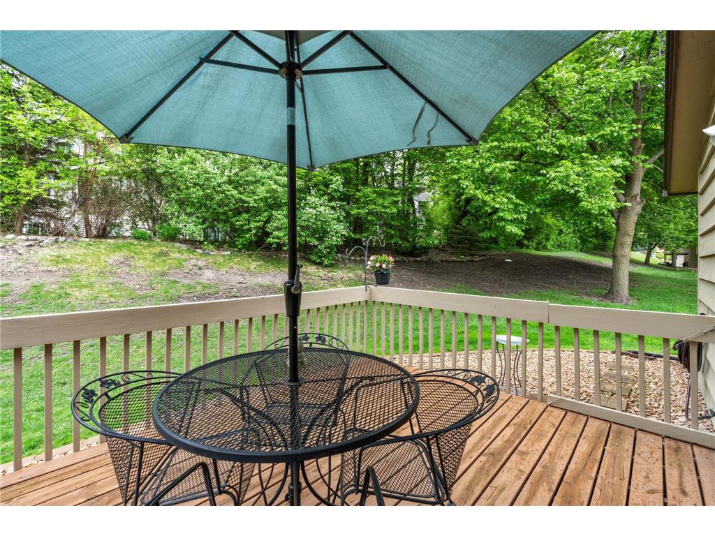3980 Orchid Lane N Plymouth MN 55446 7061612 image23