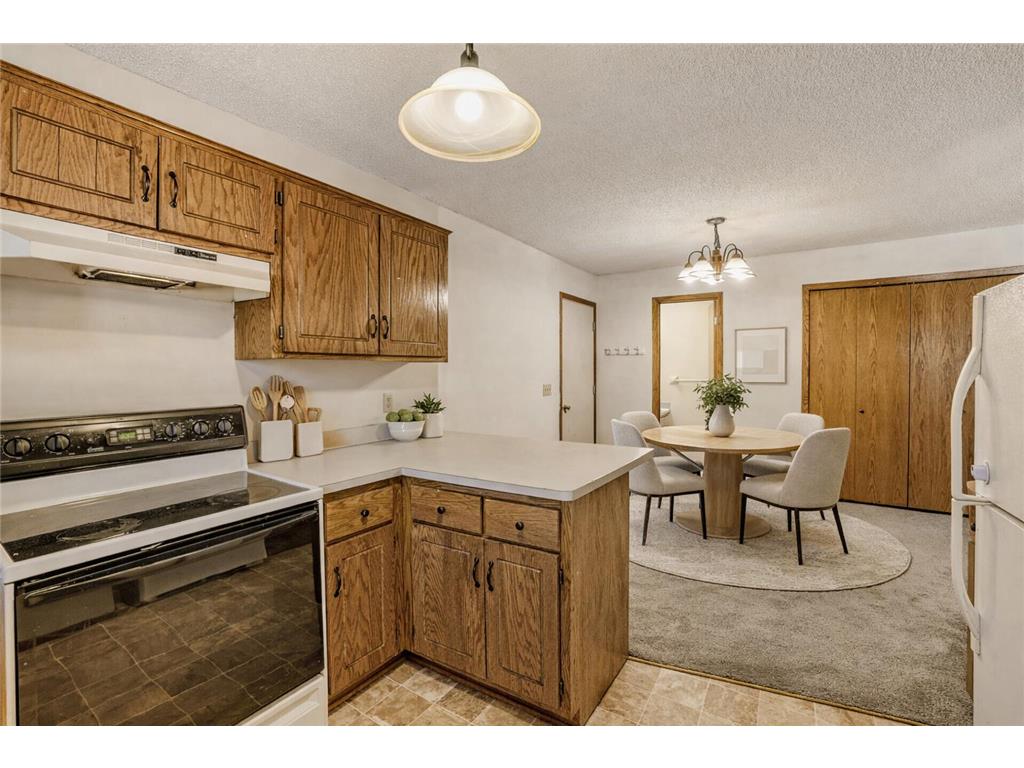3985 Parkridge Drive White Bear Twp MN 55110 7015517 image7