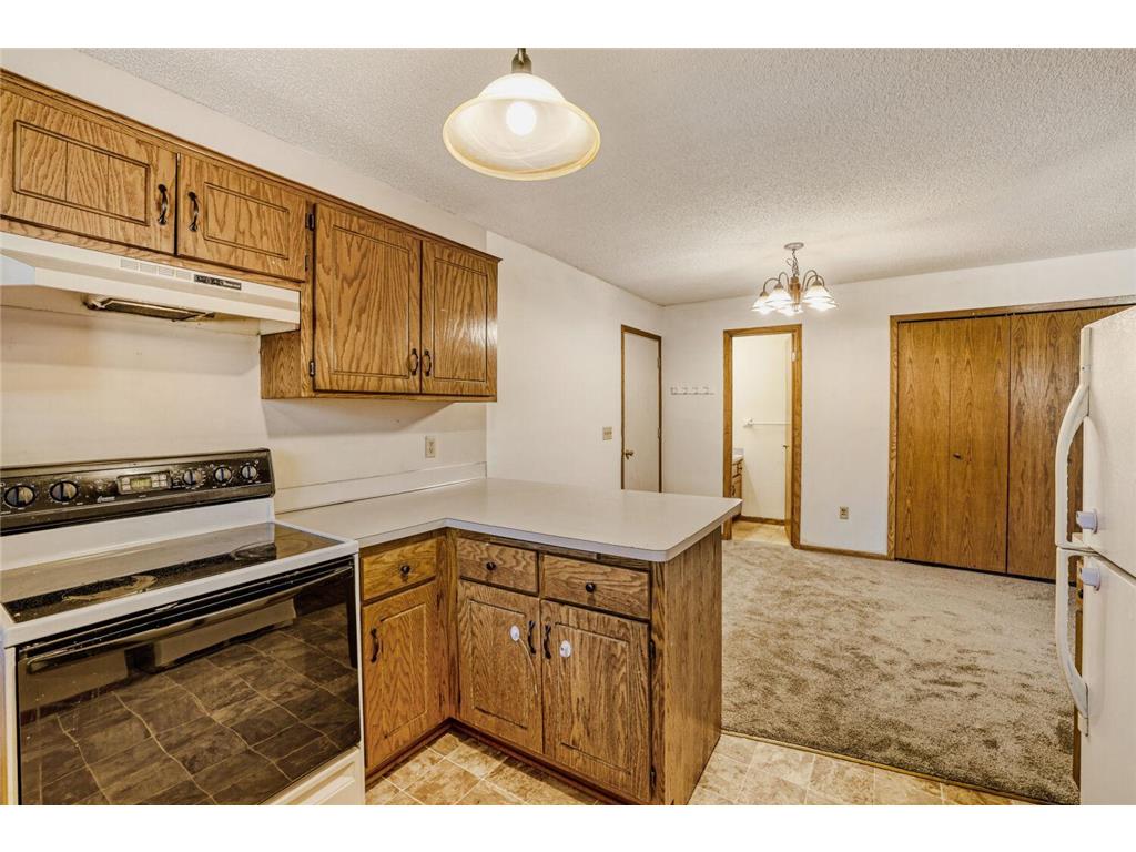 3985 Parkridge Drive White Bear Twp MN 55110 7015517 image8