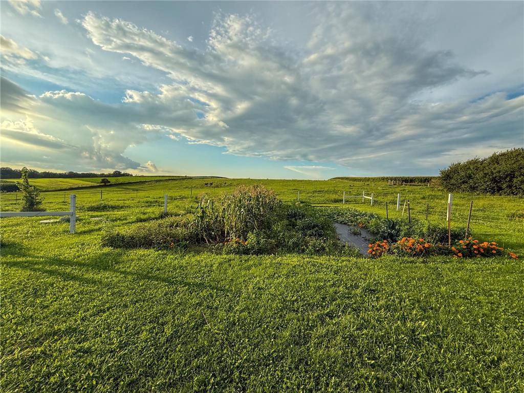 39871 State Hwy 44 Mabel MN 55954 6775630 image21