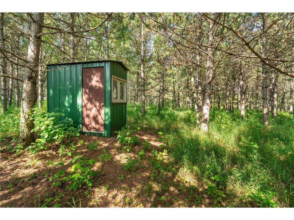 39883 N Clitherall Lake Road Clitherall MN 56524 6754780 image88