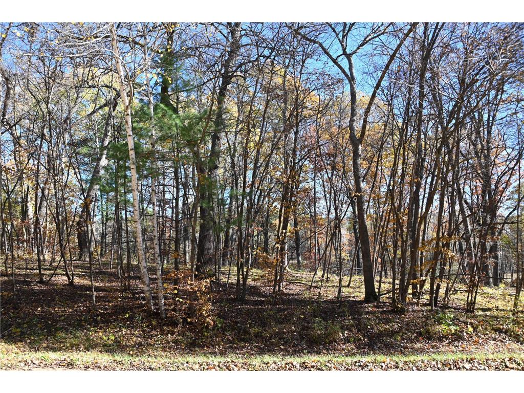 39884 Pine Island Pt Drive Fawn Lake Twp MN 56438 7034474 image10