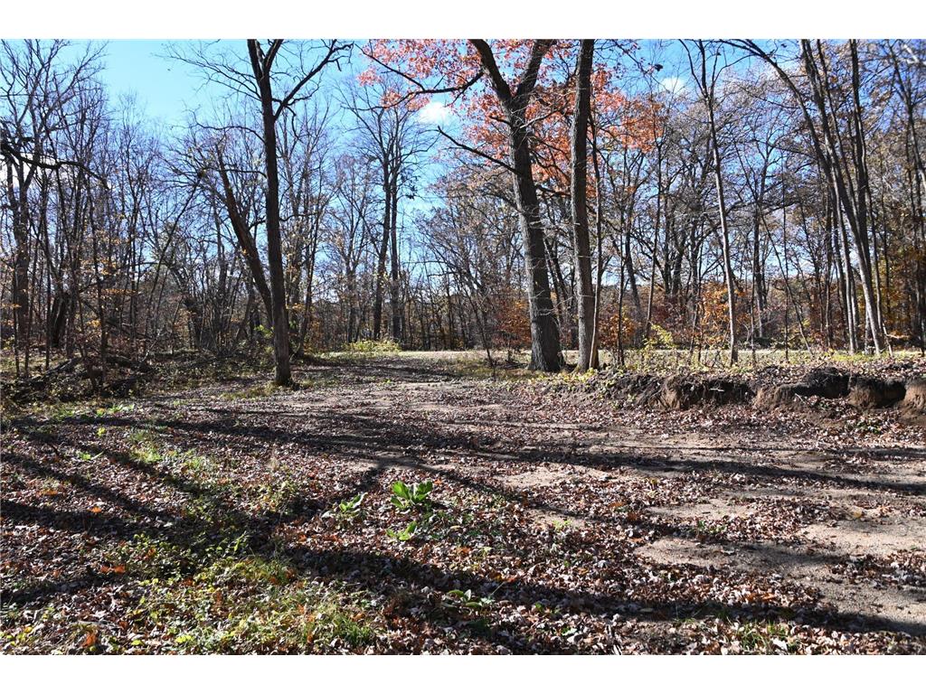 39884 Pine Island Pt Drive Fawn Lake Twp MN 56438 7034474 image11