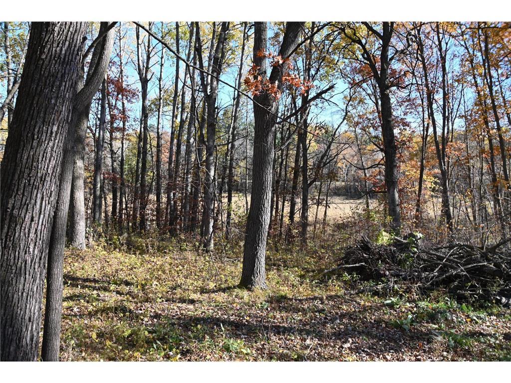39884 Pine Island Pt Drive Fawn Lake Twp MN 56438 7034474 image12