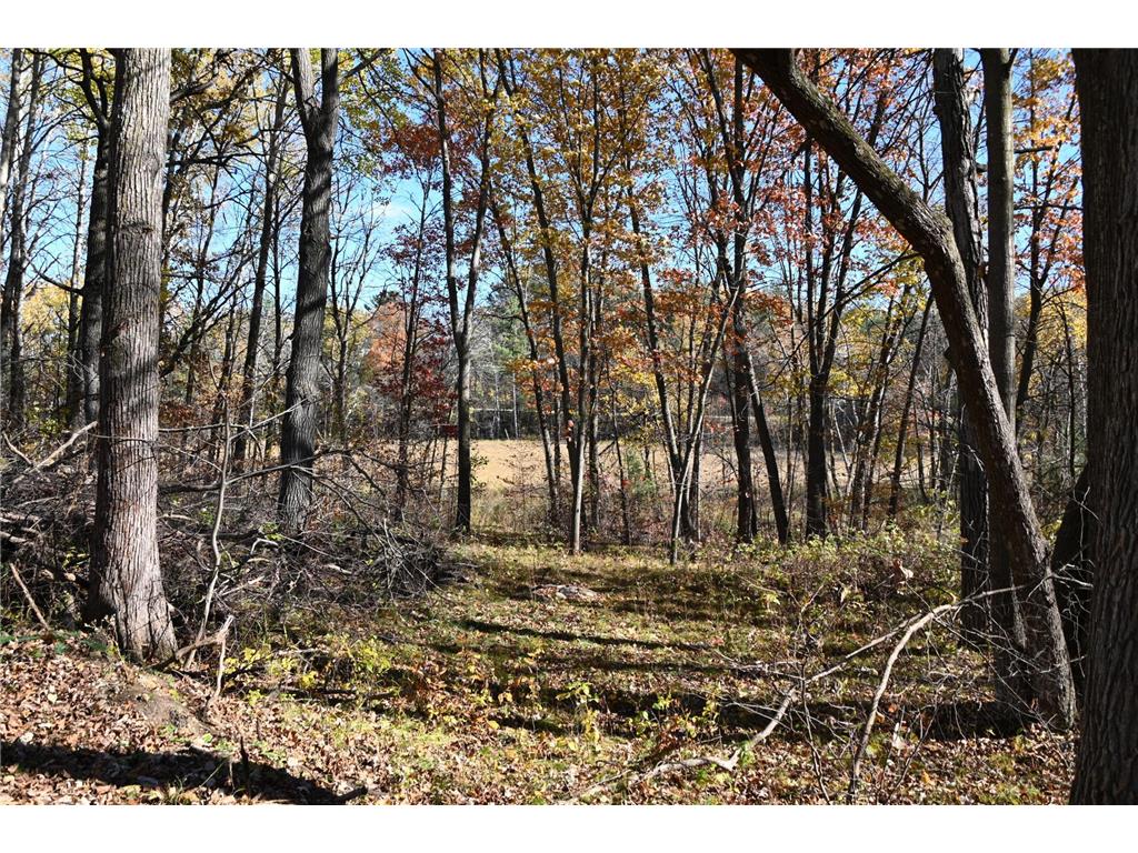 39884 Pine Island Pt Drive Fawn Lake Twp MN 56438 7034474 image13