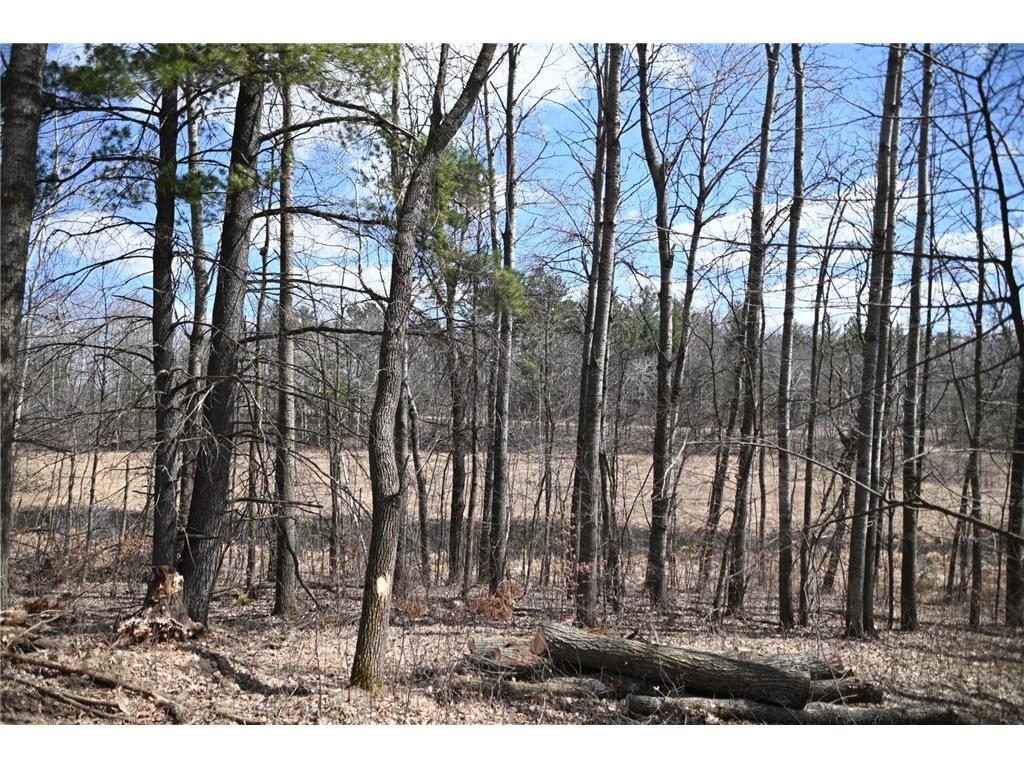 39884 Pine Island Pt Drive Fawn Lake Twp MN 56438 7034474 image14