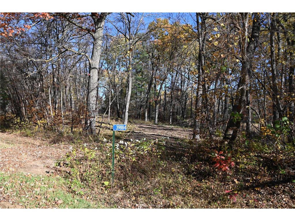 39884 Pine Island Pt Drive Fawn Lake Twp MN 56438 7034474 image2