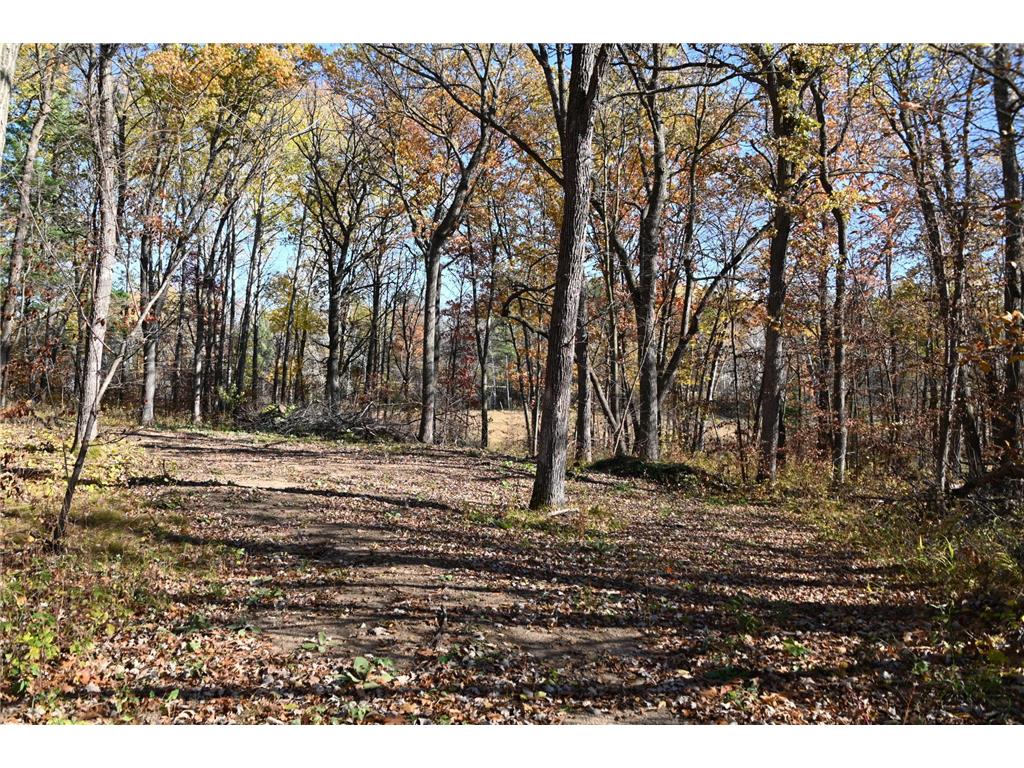 39884 Pine Island Pt Drive Fawn Lake Twp MN 56438 7034474 image4