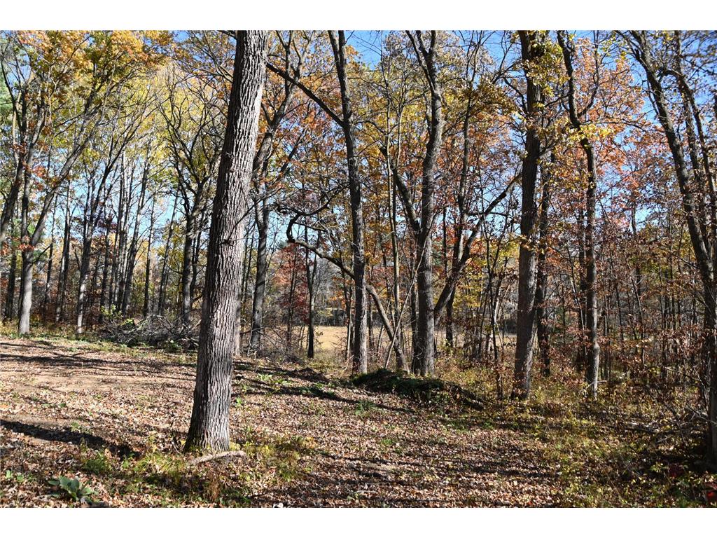 39884 Pine Island Pt Drive Fawn Lake Twp MN 56438 7034474 image5
