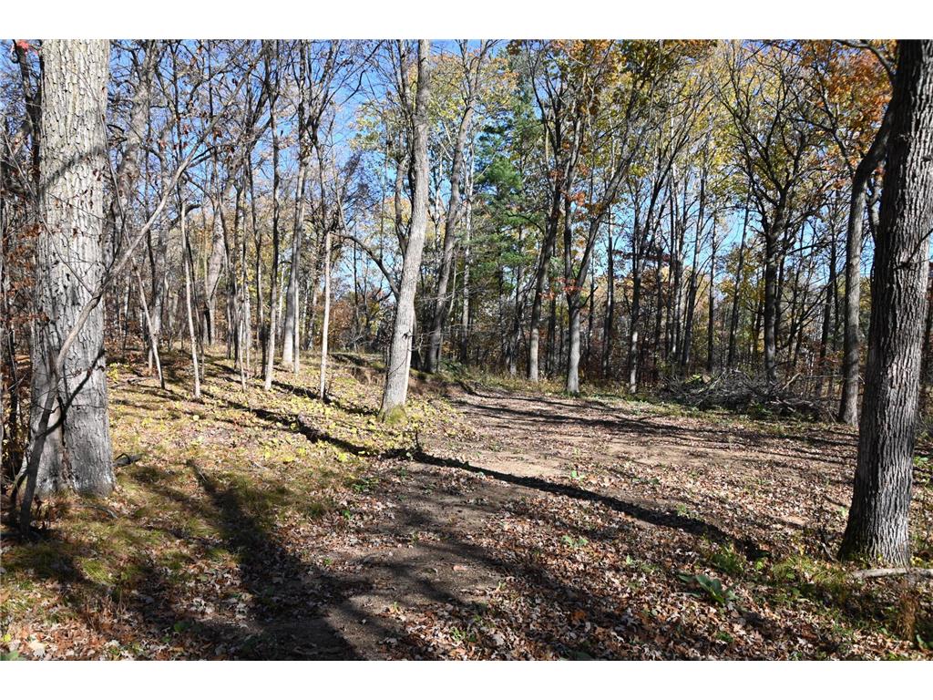 39884 Pine Island Pt Drive Fawn Lake Twp MN 56438 7034474 image6