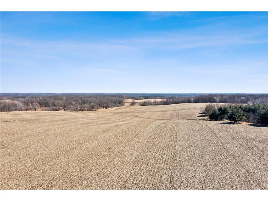 39889 Quinlan Avenue Amador Twp MN 55012 6684525 image1