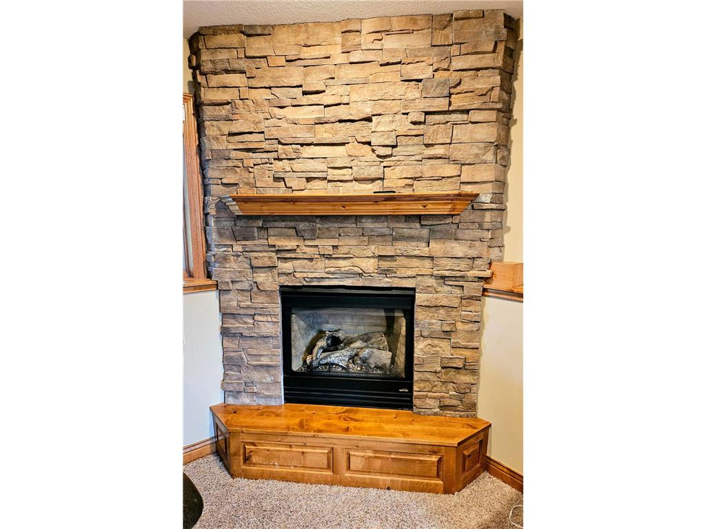 399 5th Avenue SE Dover MN 55929 7061870 image17