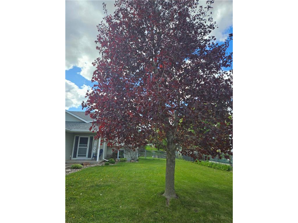 399 5th Avenue SE Dover MN 55929 7061870 image26