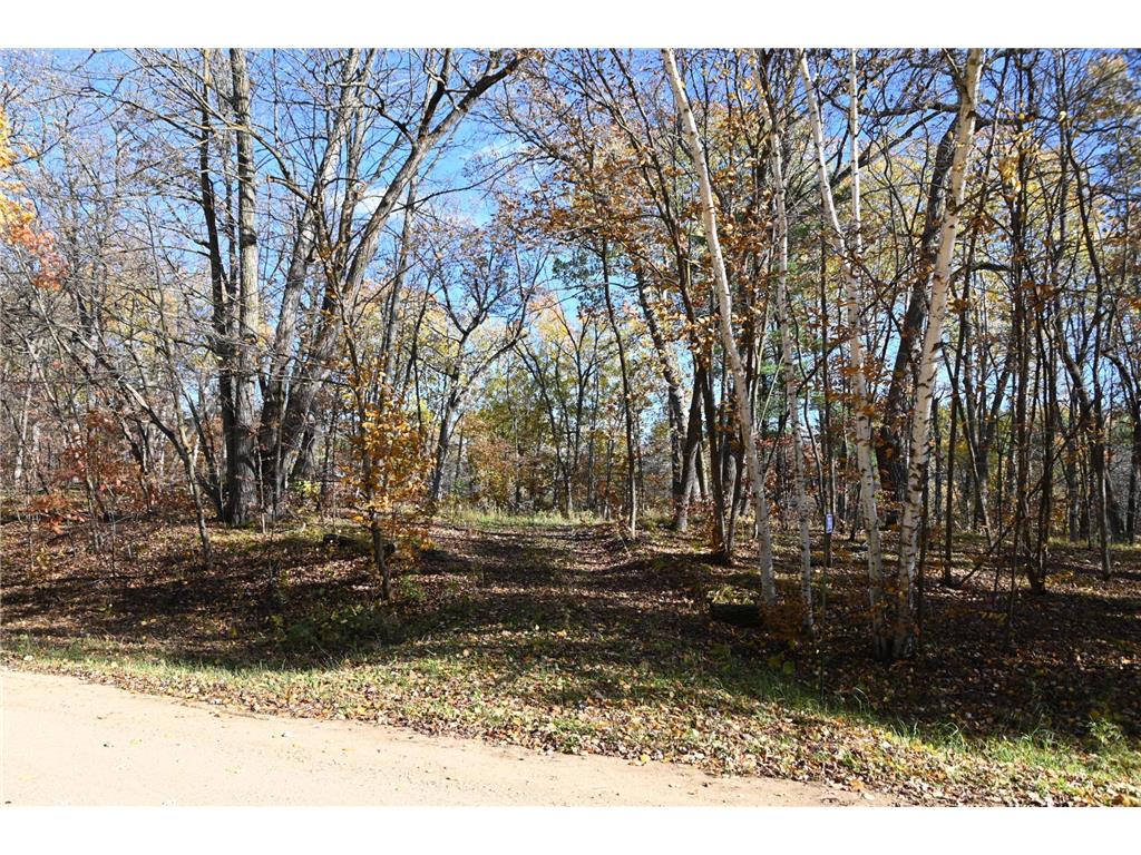 39906 Pine Island Pt Drive Fawn Lake Twp MN 56438 7034477 image1