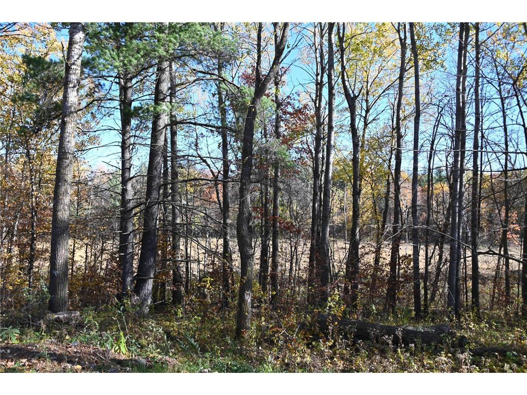 39906 Pine Island Pt Drive Fawn Lake Twp MN 56438 7034477 image10