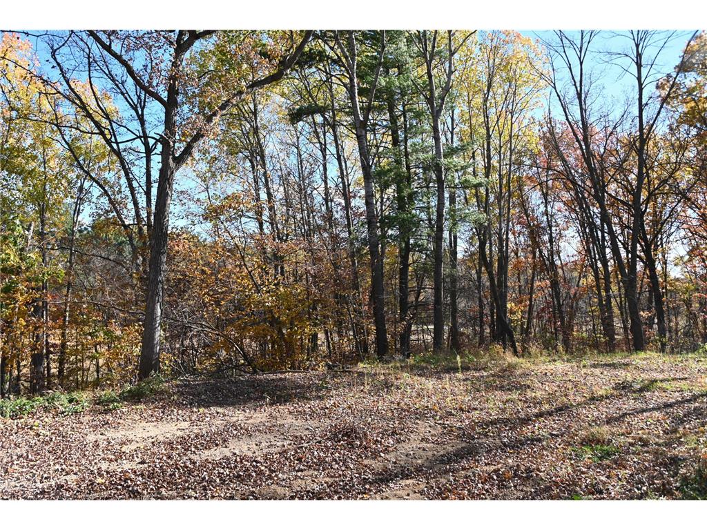 39906 Pine Island Pt Drive Fawn Lake Twp MN 56438 7034477 image11