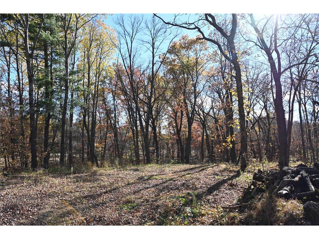 39906 Pine Island Pt Drive Fawn Lake Twp MN 56438 7034477 image12