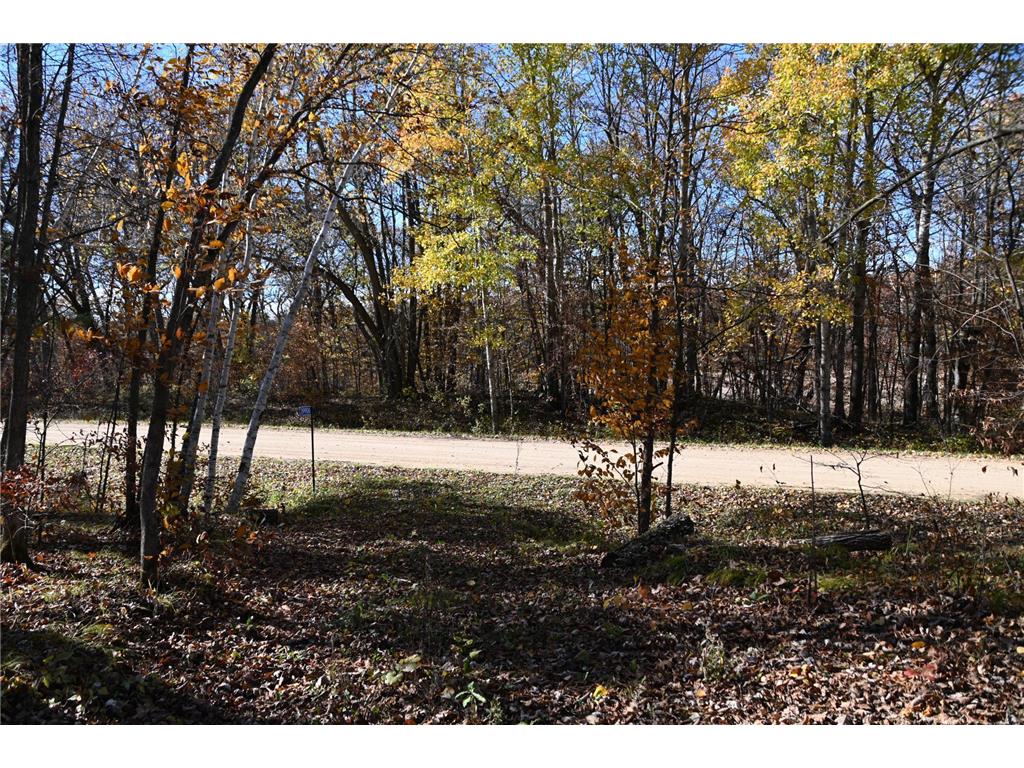 39906 Pine Island Pt Drive Fawn Lake Twp MN 56438 7034477 image14