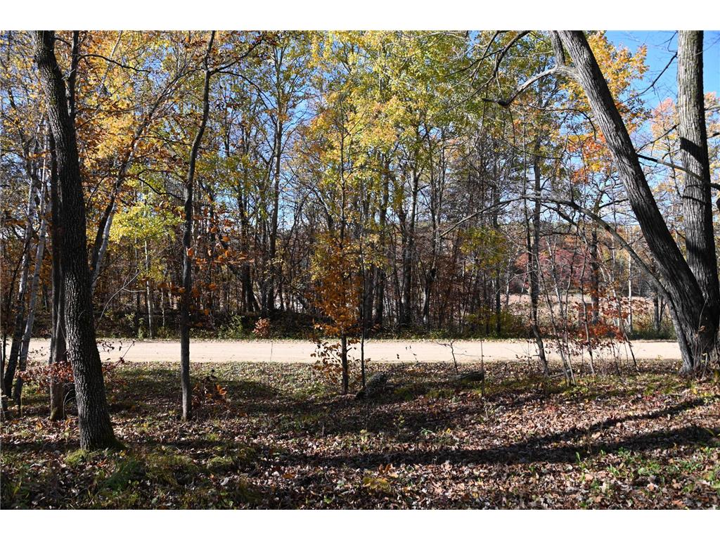 39906 Pine Island Pt Drive Fawn Lake Twp MN 56438 7034477 image15