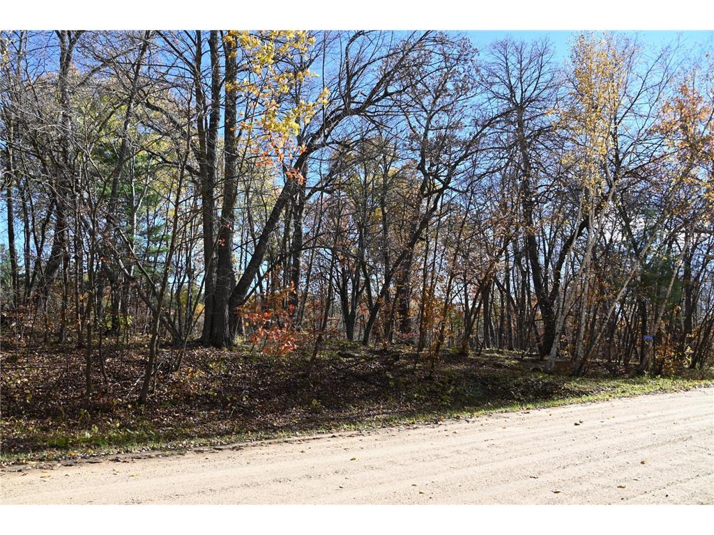 39906 Pine Island Pt Drive Fawn Lake Twp MN 56438 7034477 image16