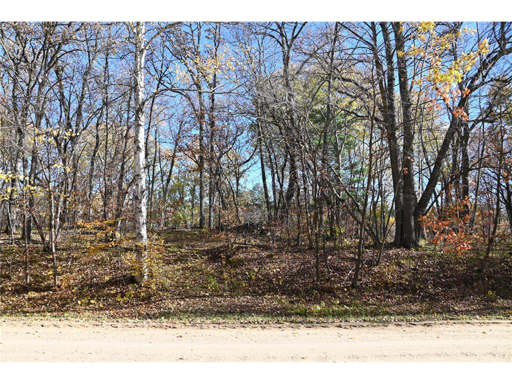39906 Pine Island Pt Drive Fawn Lake Twp MN 56438 7034477 image17