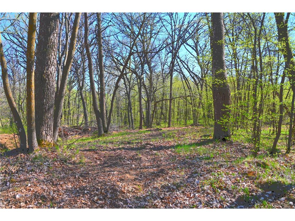 39906 Pine Island Pt Drive Fawn Lake Twp MN 56438 7034477 image23